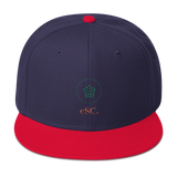 cSC. Original Logo Snapback Hat